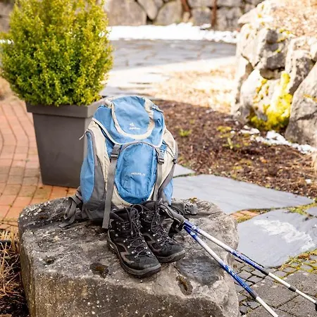 Bergkrone 4* Willingen (Upland)