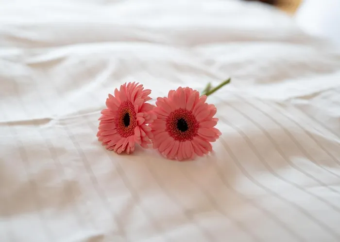 伯格科隆兰德豪斯旅馆 招待所