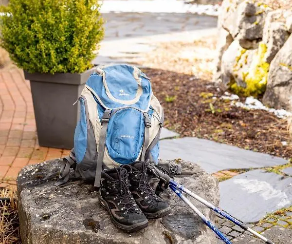 Bergkrone 4* Виллинген